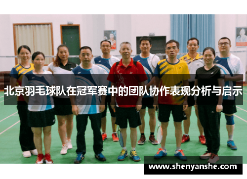北京羽毛球队在冠军赛中的团队协作表现分析与启示
