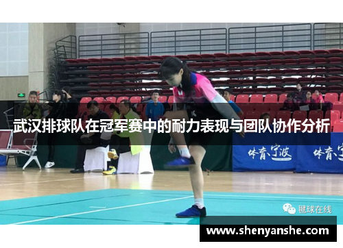 武汉排球队在冠军赛中的耐力表现与团队协作分析