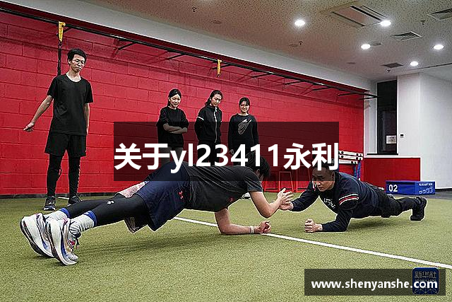 关于yl23411永利