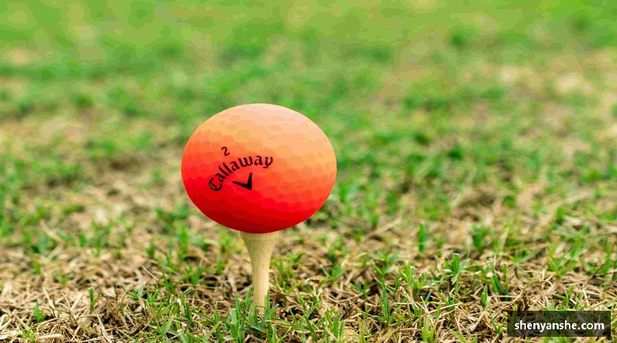 中国·yl23411(永利)集团官网-Official Website精彩瞬间，即刻拥有📸